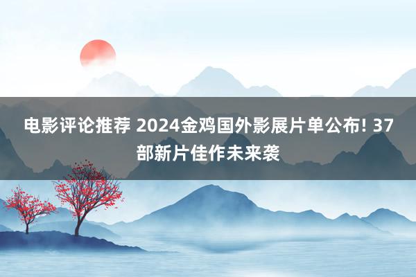 电影评论推荐 2024金鸡国外影展片单公布! 37部新片佳作未来袭