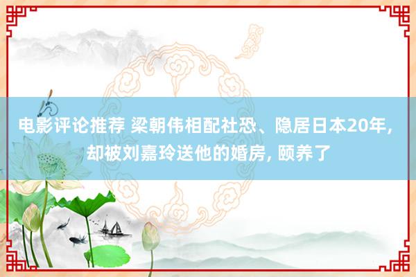 电影评论推荐 梁朝伟相配社恐、隐居日本20年, 却被刘嘉玲送他的婚房, 颐养了