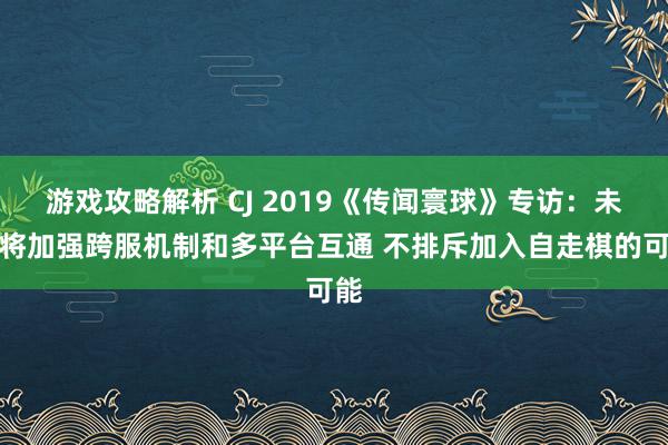 游戏攻略解析 CJ 2019《传闻寰球》专访：未来将加强跨服机制和多平台互通 不排斥加入自走棋的可能