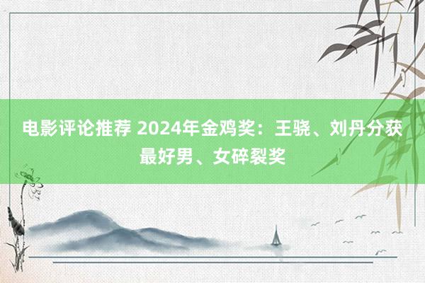 电影评论推荐 2024年金鸡奖：王骁、刘丹分获最好男、女碎裂奖