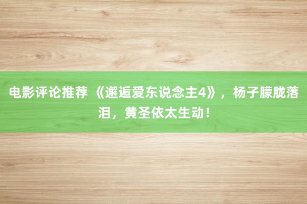 电影评论推荐 《邂逅爱东说念主4》，杨子朦胧落泪，黄圣依太生动！