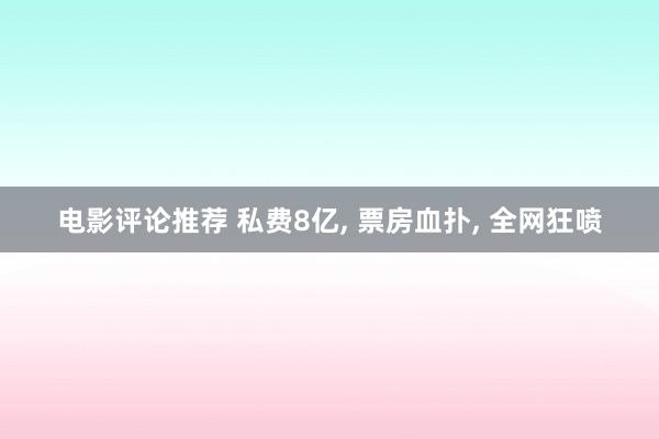 电影评论推荐 私费8亿, 票房血扑, 全网狂喷