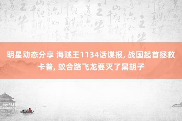 明星动态分享 海贼王1134话谍报, 战国起首拯救卡普, 蚁合路飞龙要灭了黑胡子