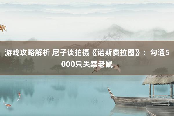 游戏攻略解析 尼子谈拍摄《诺斯费拉图》：勾通5000只失禁老鼠