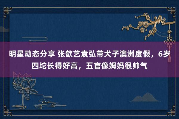 明星动态分享 张歆艺袁弘带犬子澳洲度假，6岁四坨长得好高，五官像姆妈很帅气