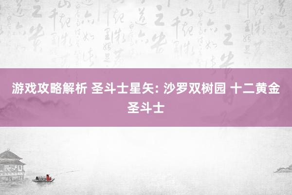 游戏攻略解析 圣斗士星矢: 沙罗双树园 十二黄金圣斗士