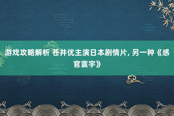 游戏攻略解析 苍井优主演日本剧情片, 另一种《感官寰宇》